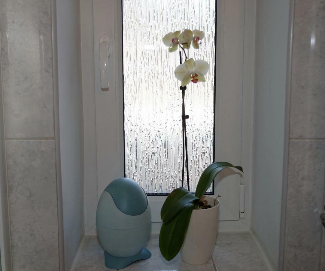 Kaszubiana Direkt In Der Natur Sulmin Extérieur photo